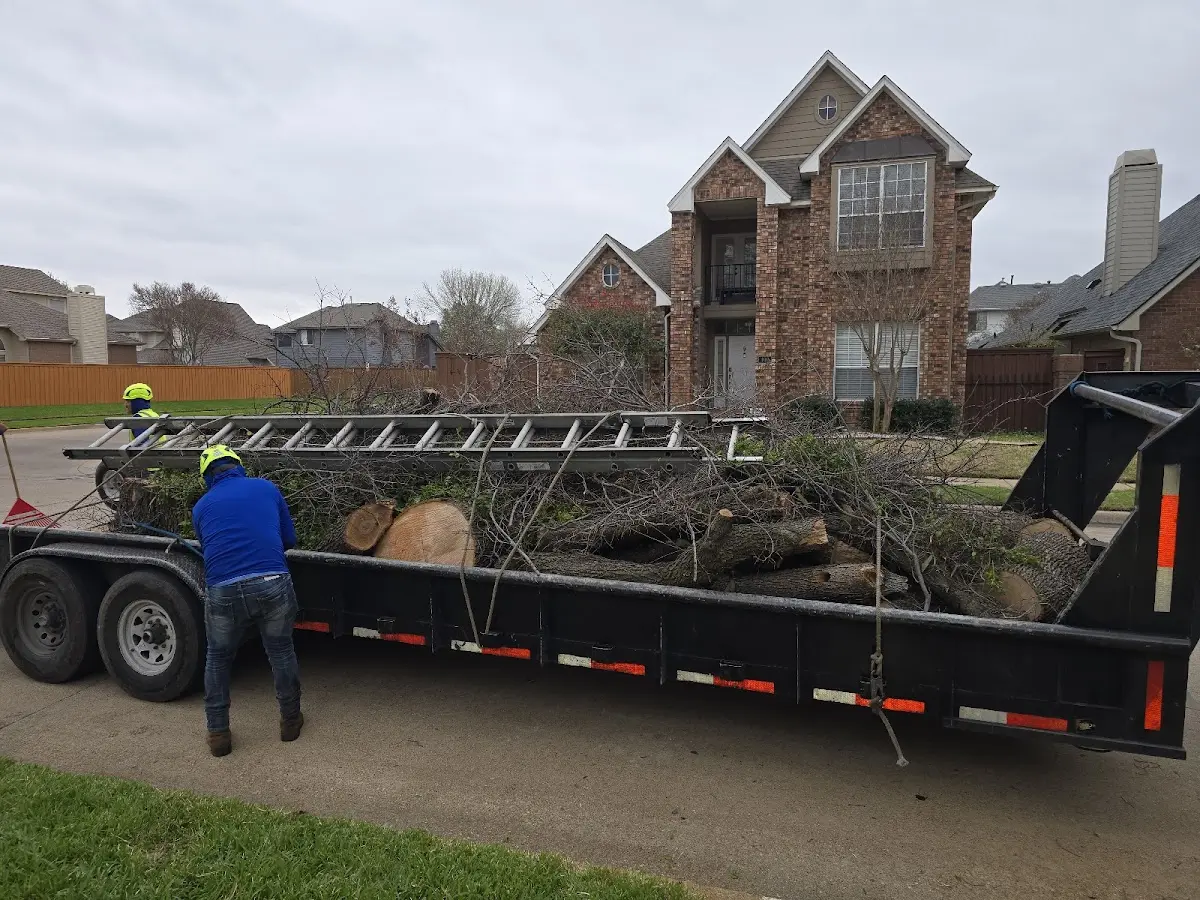Expert Tree Fertilization with proper safety equipment in Colbert